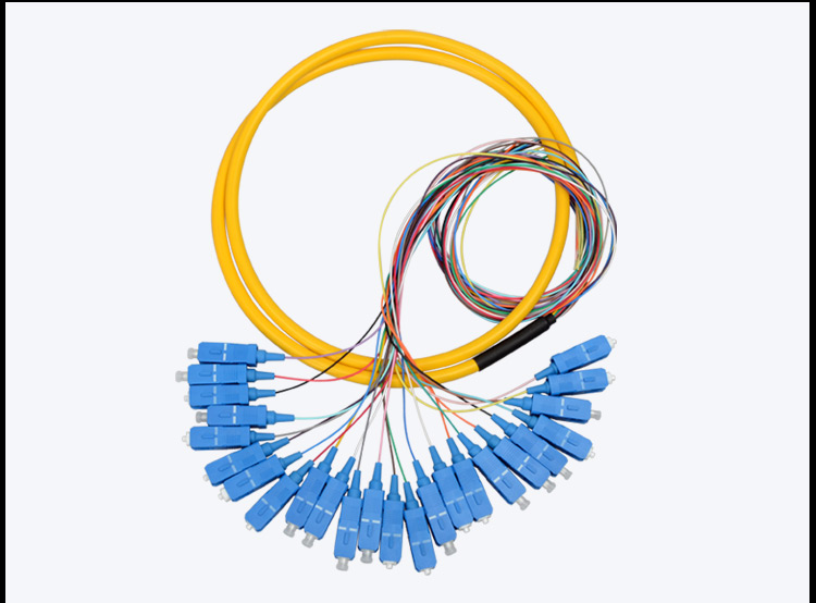 Fiber patch cord Pigtail 24 Core SC_UPC SM_3